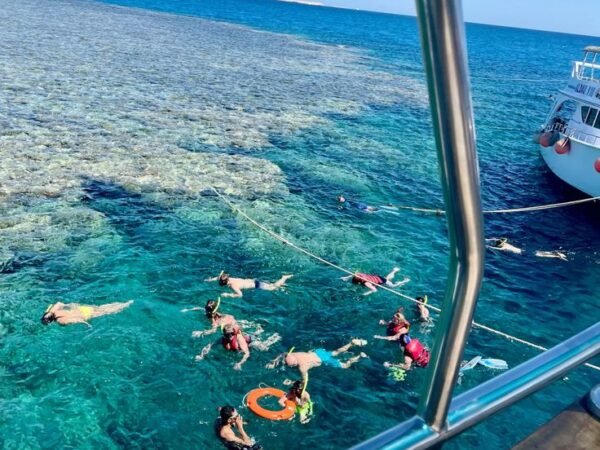 Hurghada: Panoramic Semi-Submarine Cruise with Snorkeling