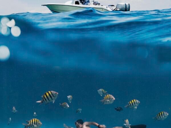 Hurghada: Parasailing Adventure on the Red Sea