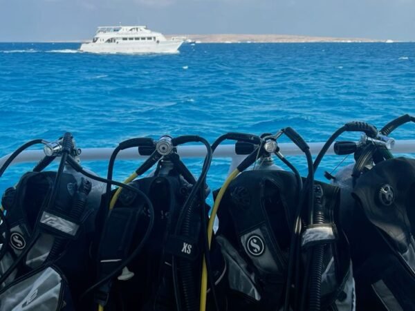 Turtle & Dugoung Snorkeling Trip Marsa Alam