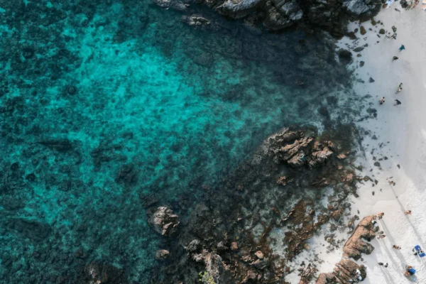 Paradise Island Snorkeling Tour – Your Caribbean Experience in the Red Sea