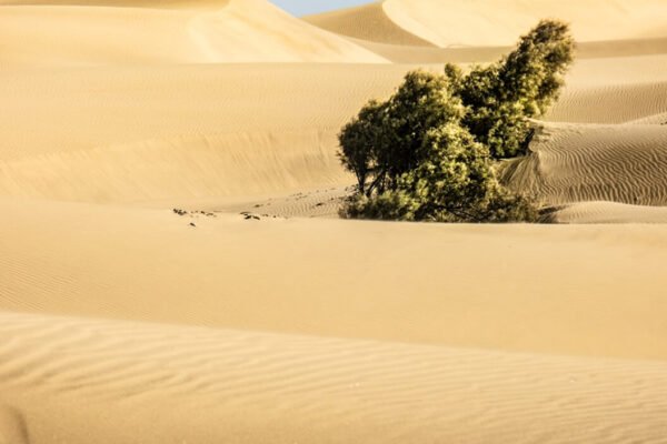 Excursion from Hurghada to Cairo by minibus (small group)