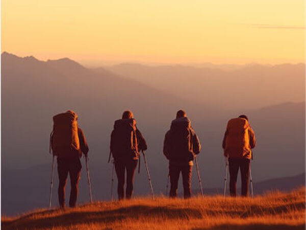 Exclusive Private Day Trip to Luxor